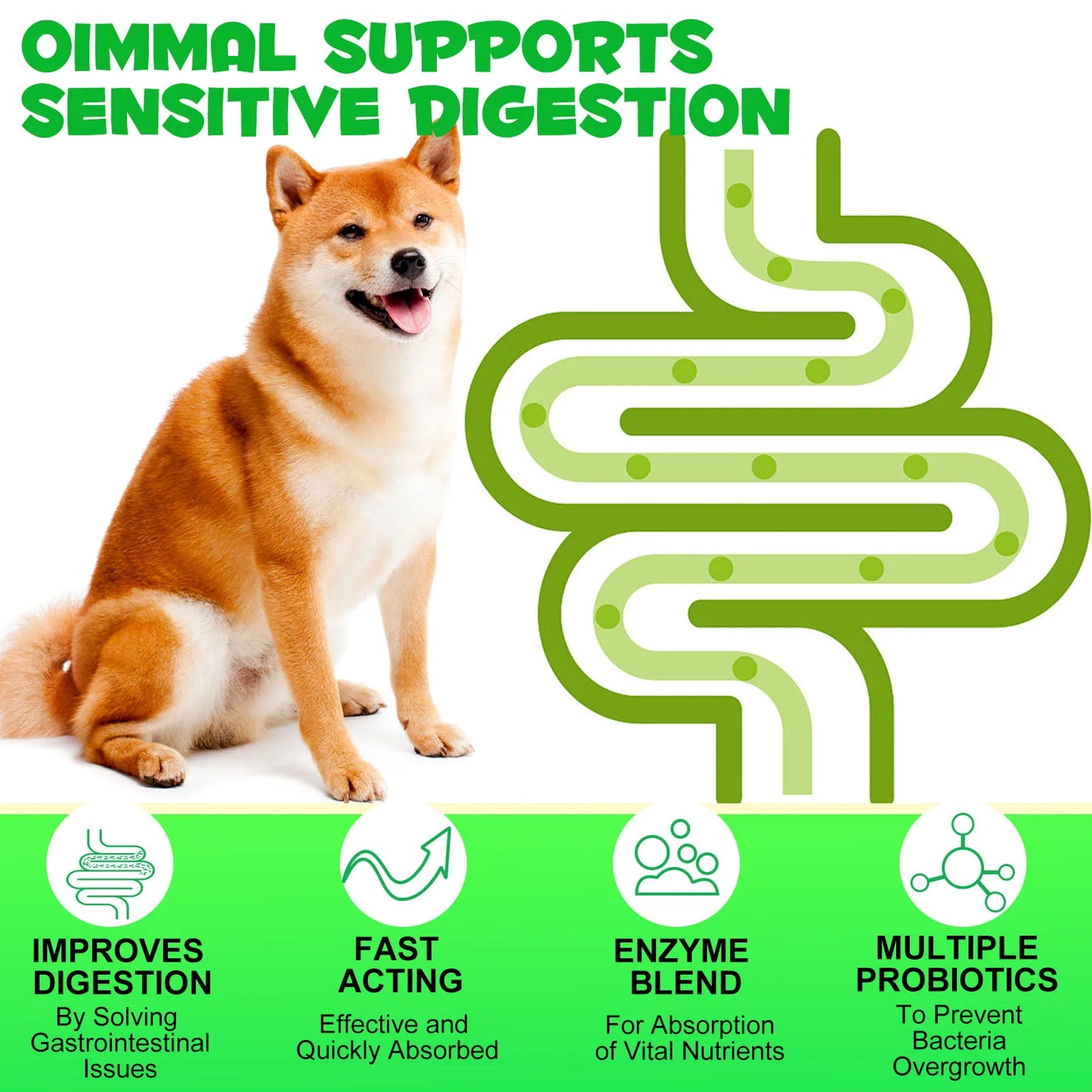 Probiotics and Enzymes Suitable for All Dogs Regulates Bowel Function Boosts the Immune System Supports Flora & Digestive Health