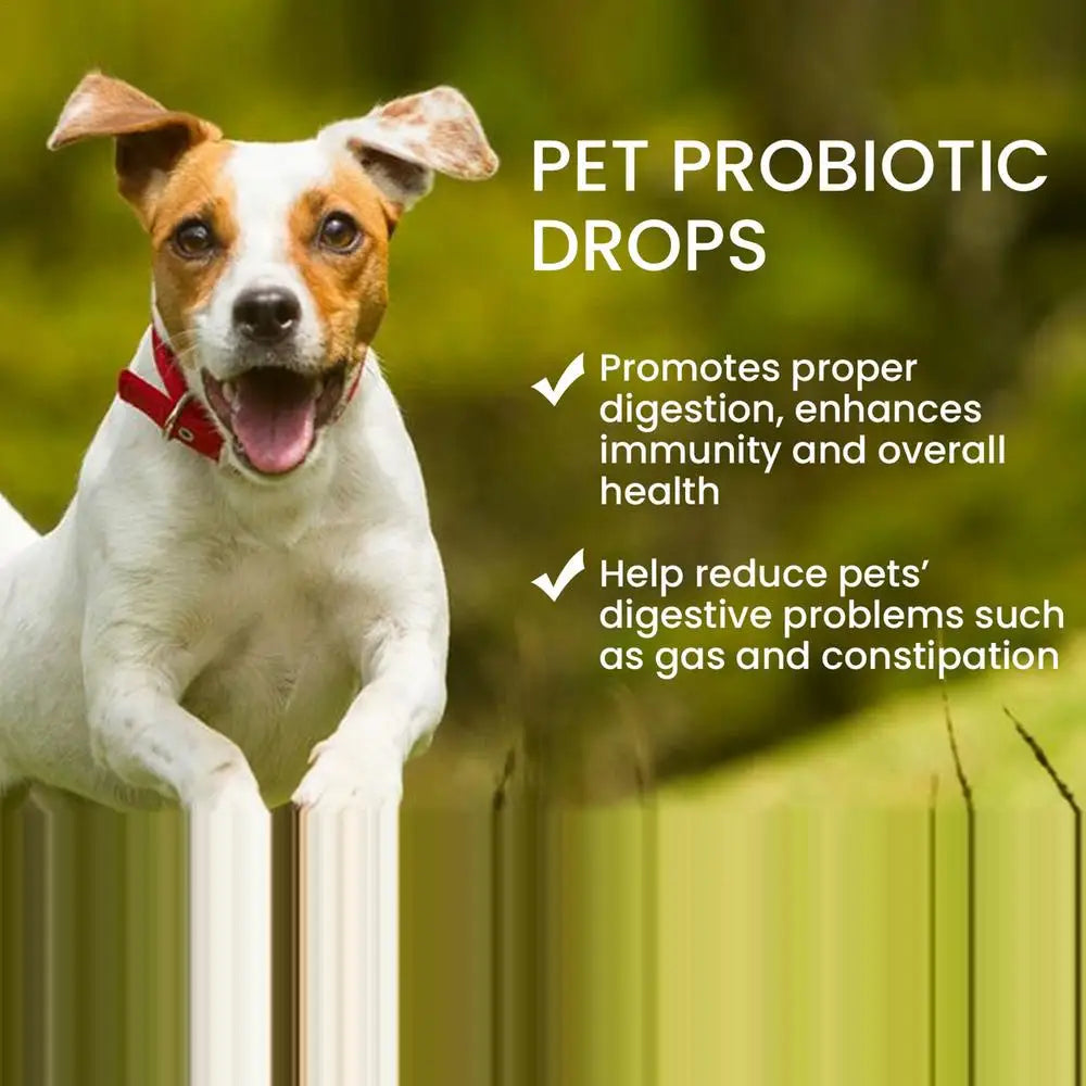 Pet Probiotic Drops 60ml Non-Greasy Mild Digestive Enzyme For Dogs Professional Cat Probiotics Digestive Health Support Additive