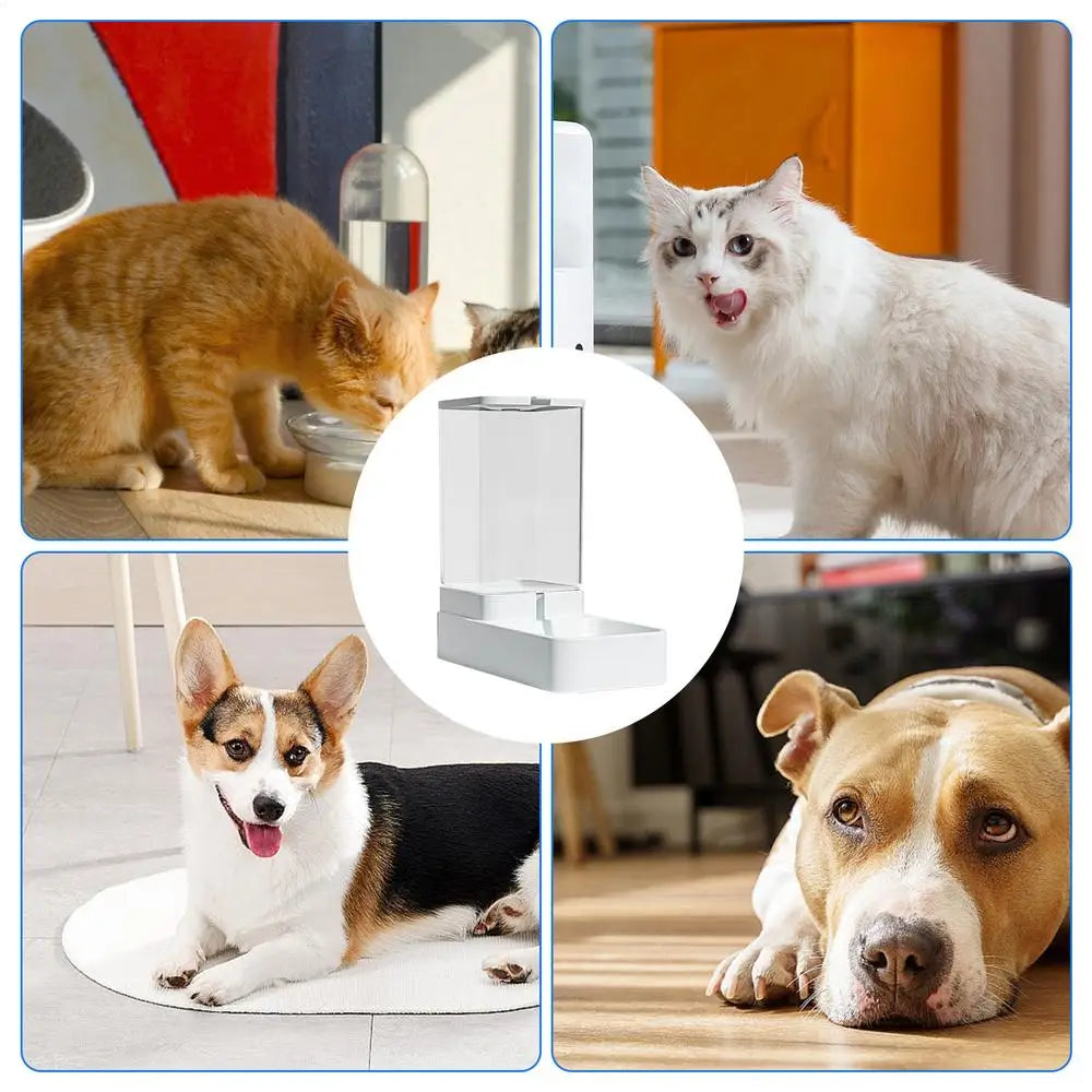 Automatic Cat Feeder Dog Automatic Feeder Transparent Automatic Cat Water Bowl Dog Cat Water Dispenser Pet Accessories