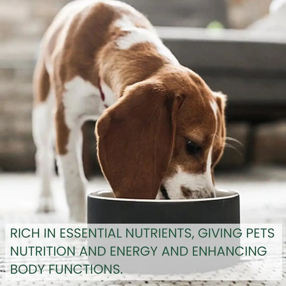Pet Probiotic Drops 60ml Non-Greasy Mild Digestive Enzyme For Dogs Professional Cat Probiotics Digestive Health Support Additive