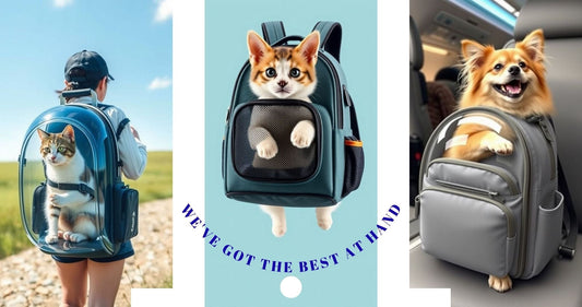 Lionsnotsheepspetstore - We've got the best at hand