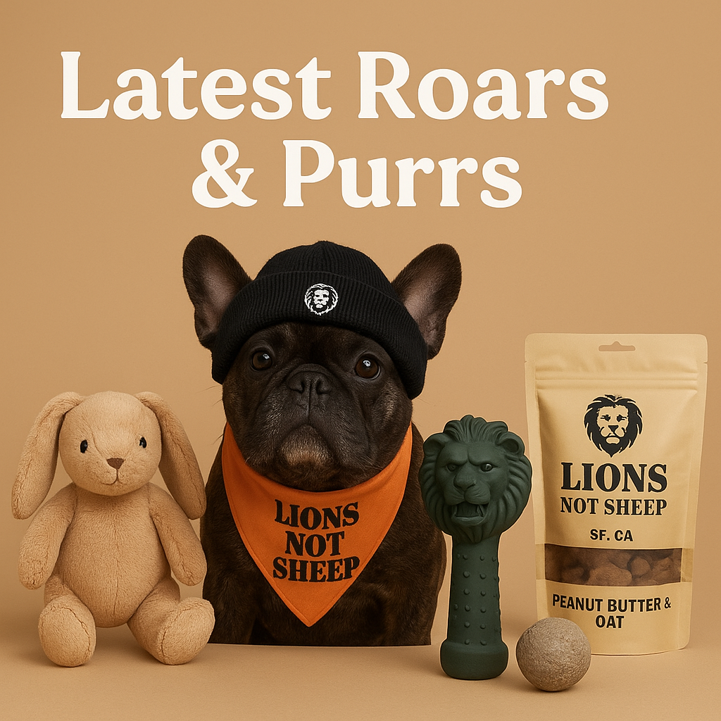 Latest Roars & Purrs