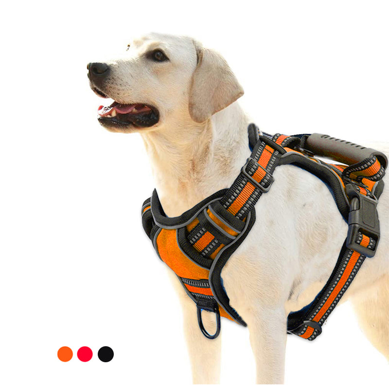 PET HARNESSES