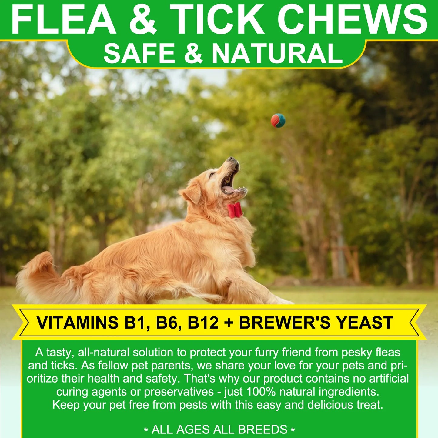 Flea and Tick Prevention for Dogs 60 Chewables Natural Flea and Tick Supplement Fast Acting Long-Lasting for All Breeds and Ages