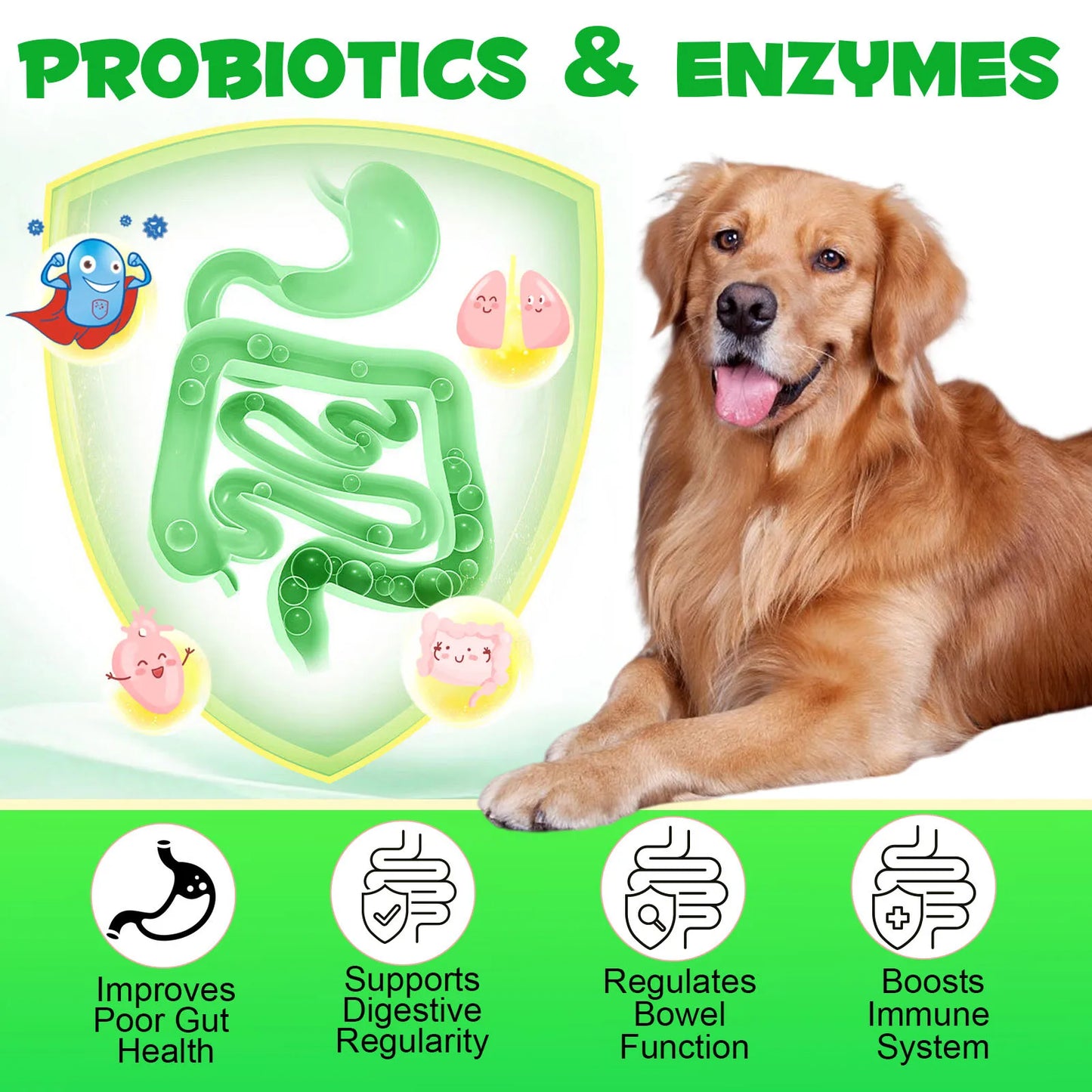 Probiotics and Enzymes Suitable for All Dogs Regulates Bowel Function Boosts the Immune System Supports Flora & Digestive Health