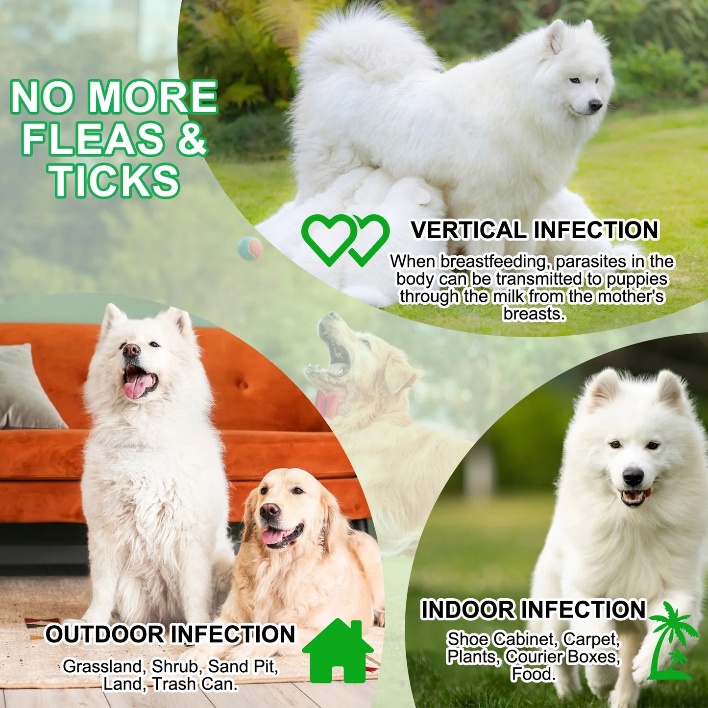 Flea and Tick Prevention for Dogs 60 Chewables Natural Flea and Tick Supplement Fast Acting Long-Lasting for All Breeds and Ages
