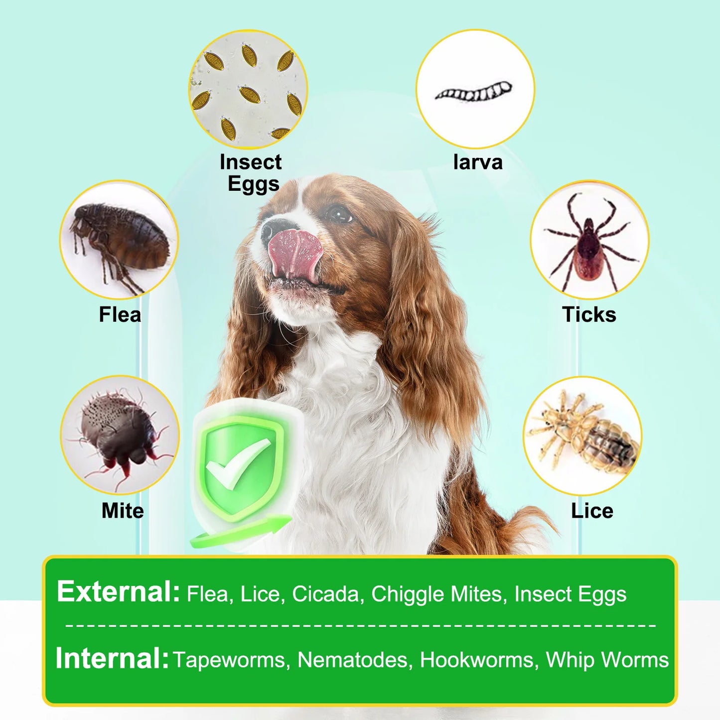 Flea and Tick Prevention for Dogs 60 Chewables Natural Flea and Tick Supplement Fast Acting Long-Lasting for All Breeds and Ages