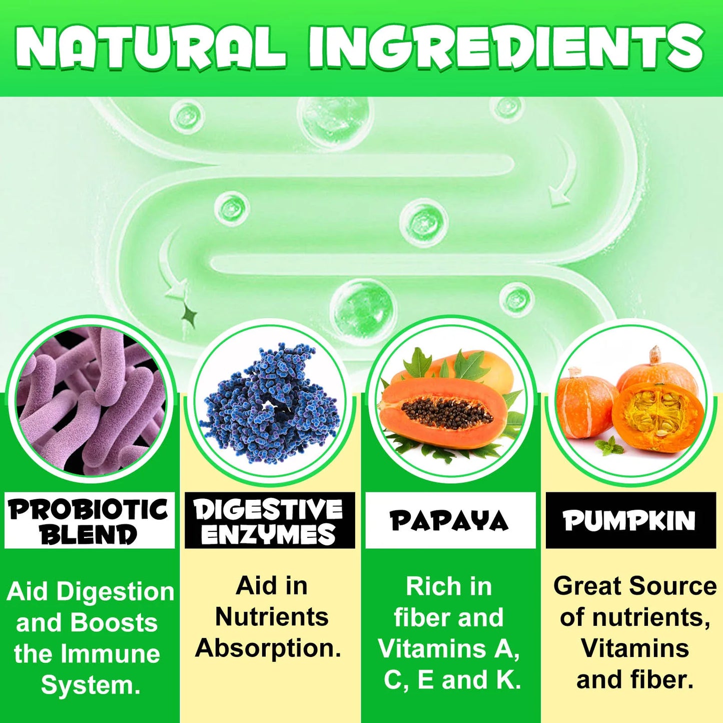 Probiotics and Enzymes Suitable for All Dogs Regulates Bowel Function Boosts the Immune System Supports Flora & Digestive Health