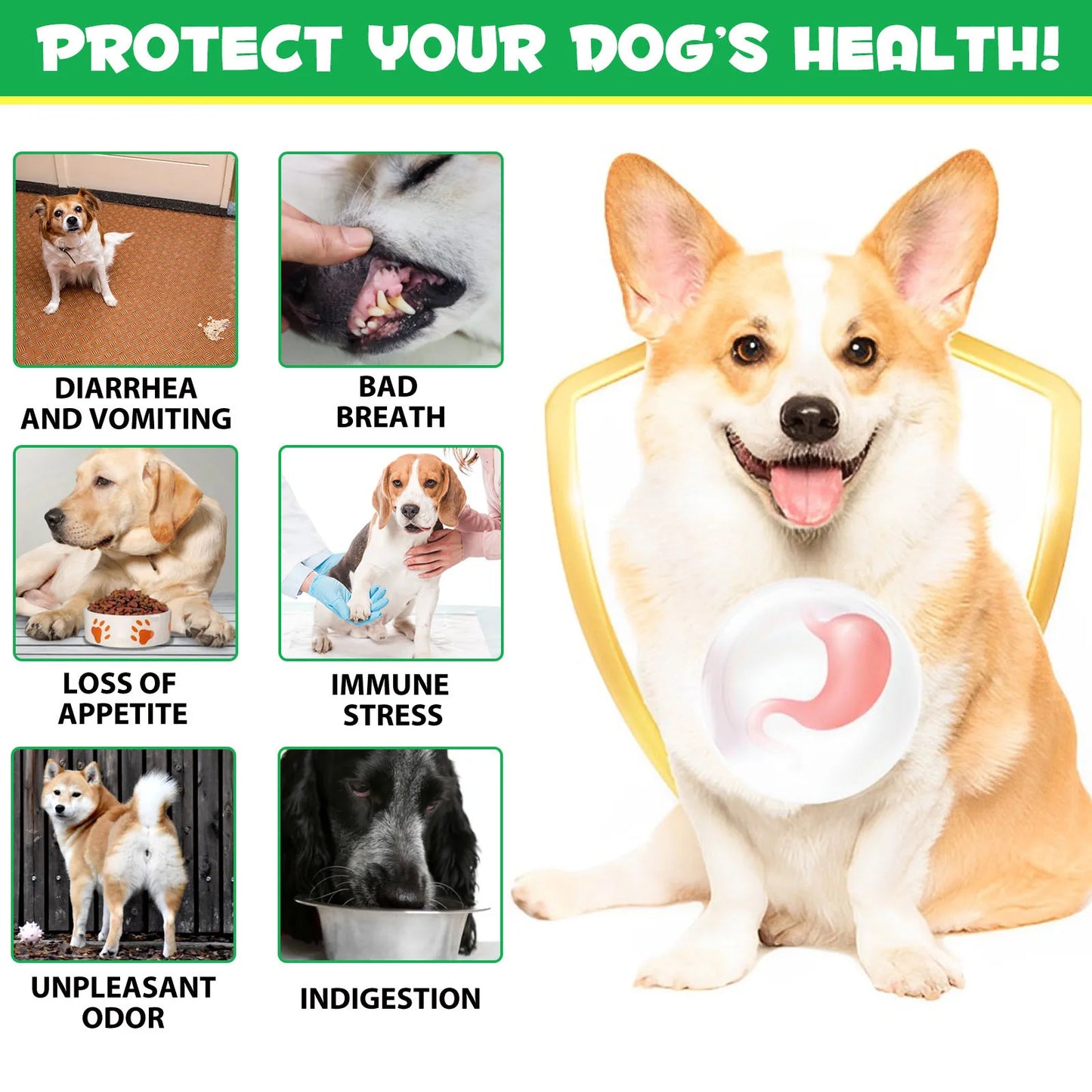Probiotics and Enzymes Suitable for All Dogs Regulates Bowel Function Boosts the Immune System Supports Flora & Digestive Health