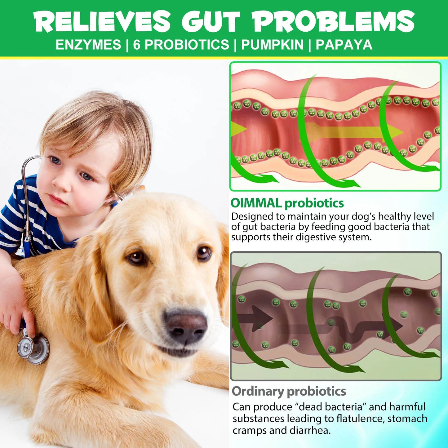 Probiotics and Enzymes Suitable for All Dogs Regulates Bowel Function Boosts the Immune System Supports Flora & Digestive Health