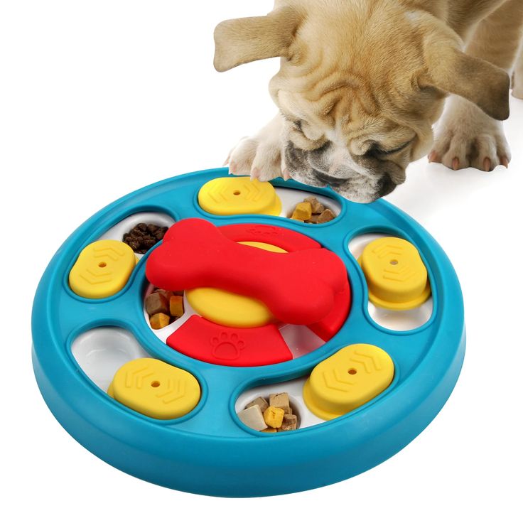 Slow feeder puzzle toy