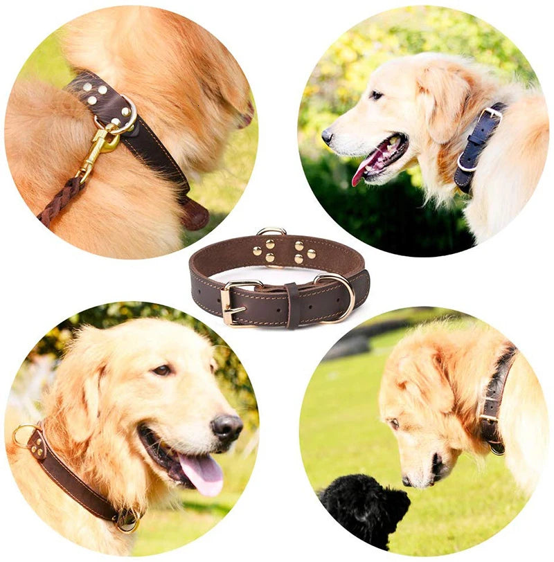 Durable Heavy-duty Rustproof Double D-Ring Pet Collar For Medium And Large Dogs