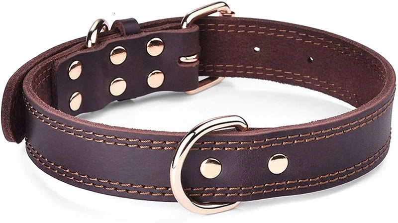 Durable Heavy-duty Rustproof Double D-Ring Pet Collar For Medium And Large Dogs