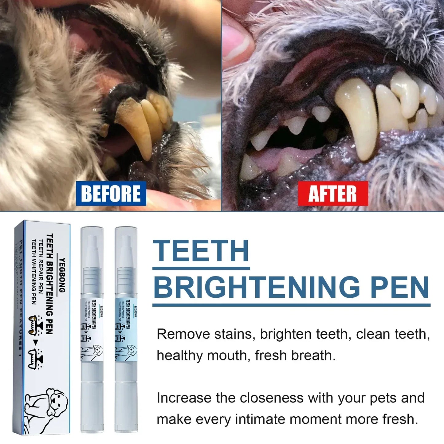 Pets Teeth Cleaning Tools Pet Beauty Toothbrush Clean Kit Tartar Remover Teeth Stones Scraper Dogs Tooth Stains Cleaning Pen