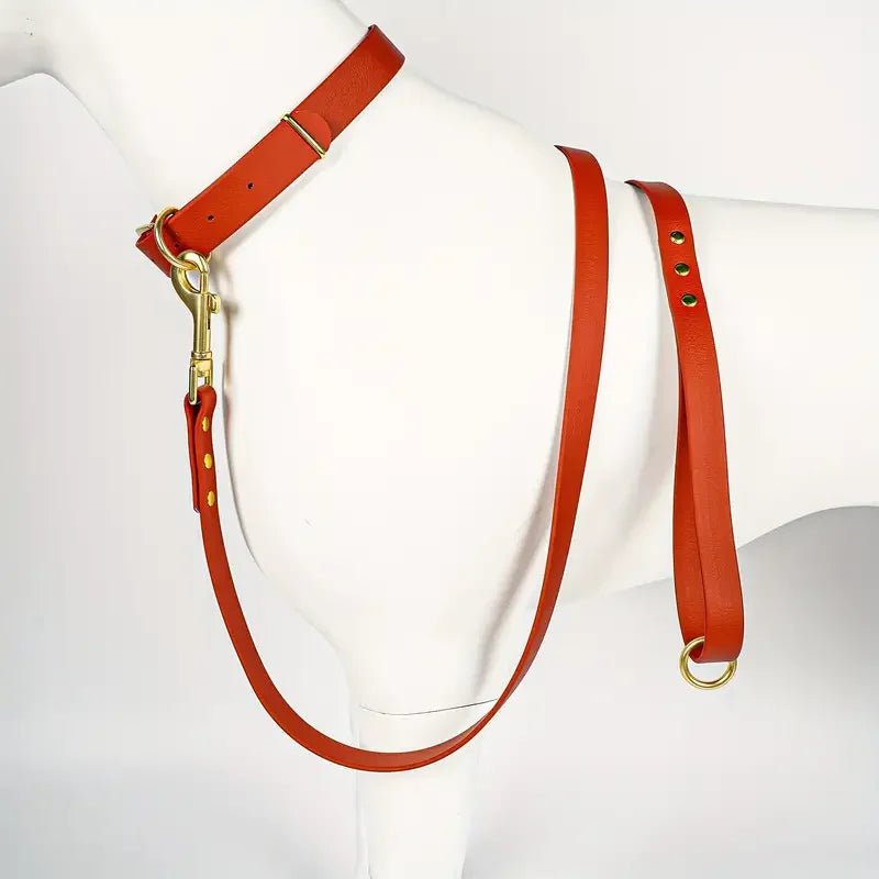 Dog Leash for Control Safety Training.