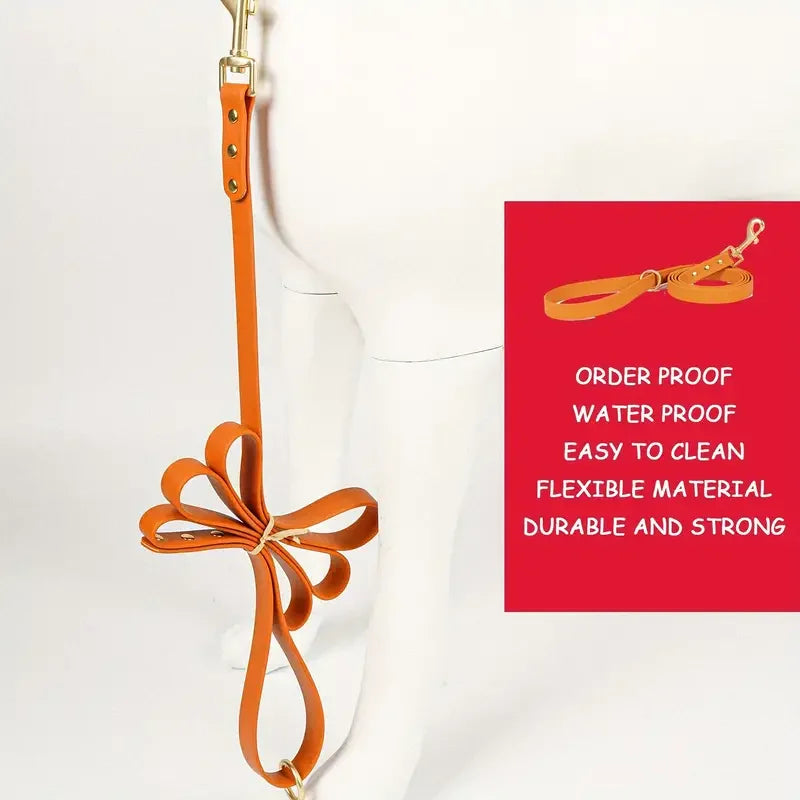 Dog Leash for Control Safety Training.