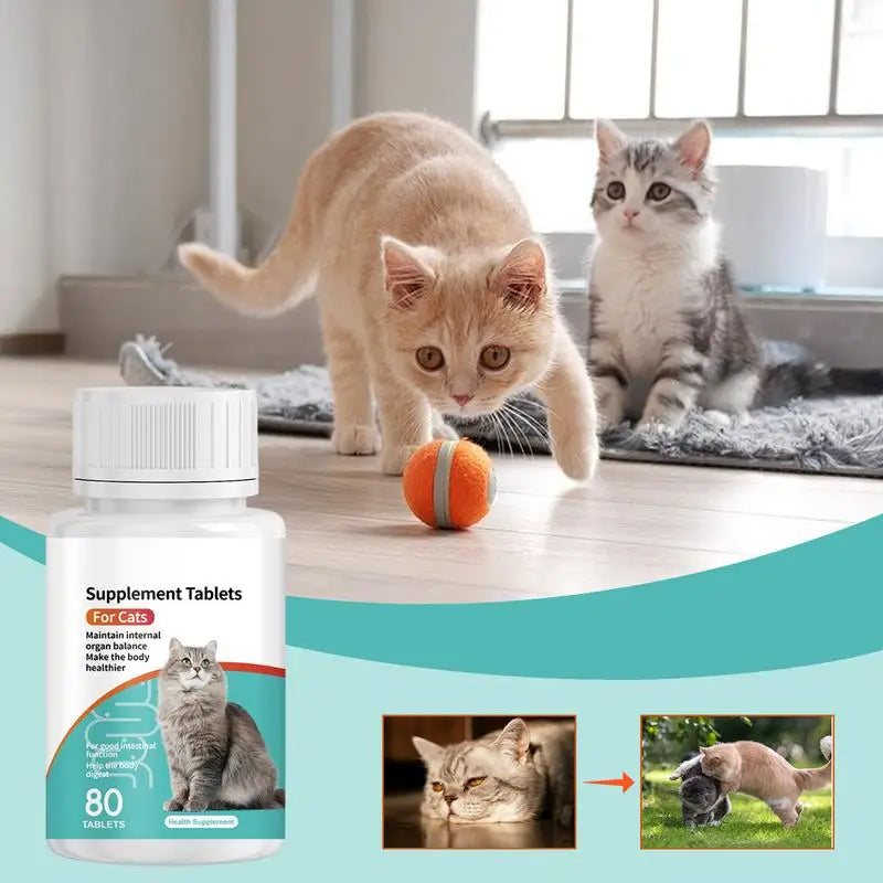 Pet Probiotic For Cats Digestive Health Supplement Probiotic Tablets Kitten Probiotic Supplement Tablets Cat Digestive Support