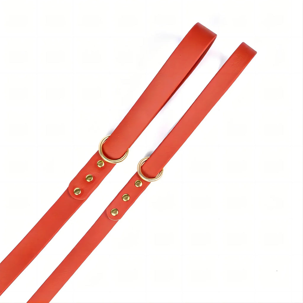 Dog Leash for Control Safety Training.