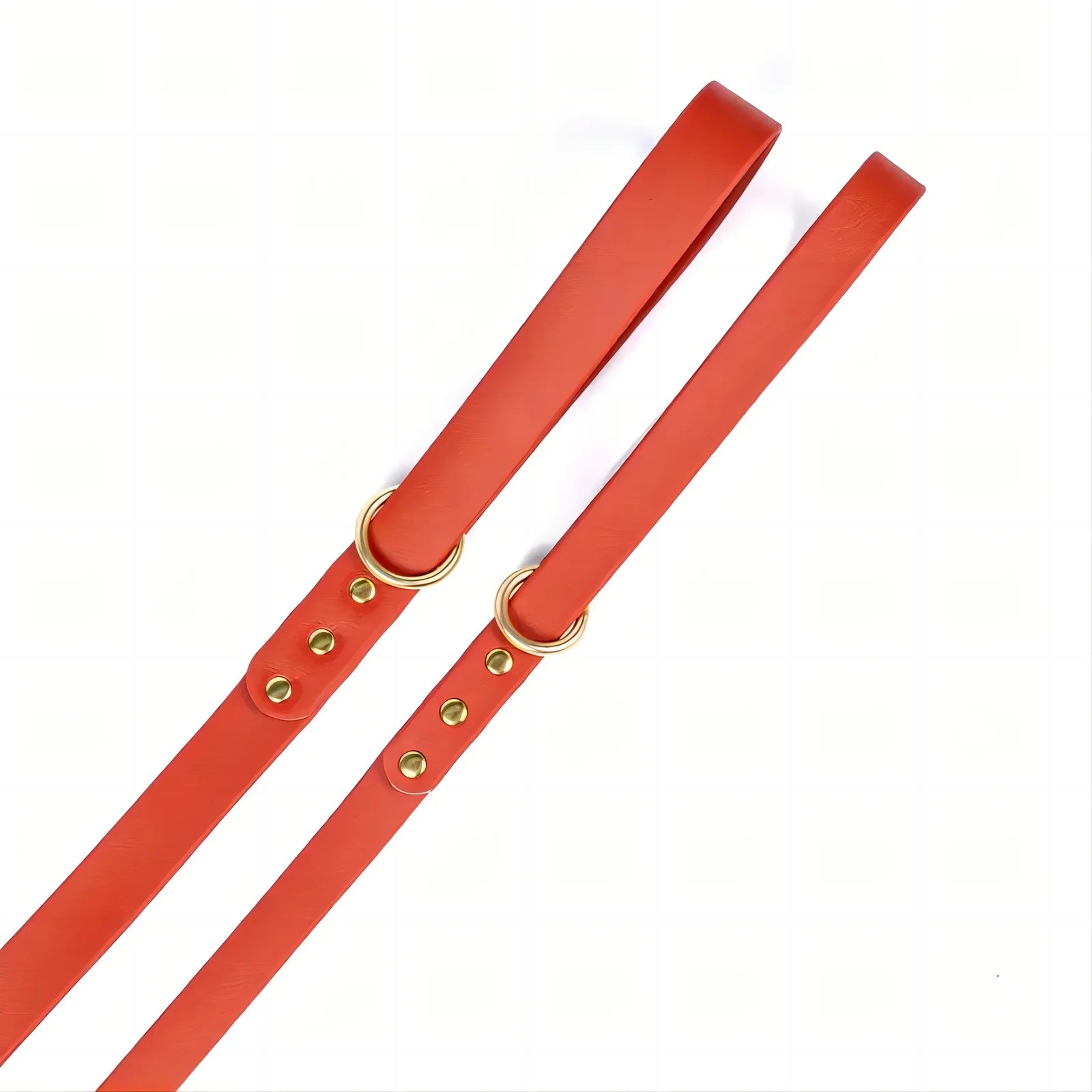 Dog Leash for Control Safety Training.