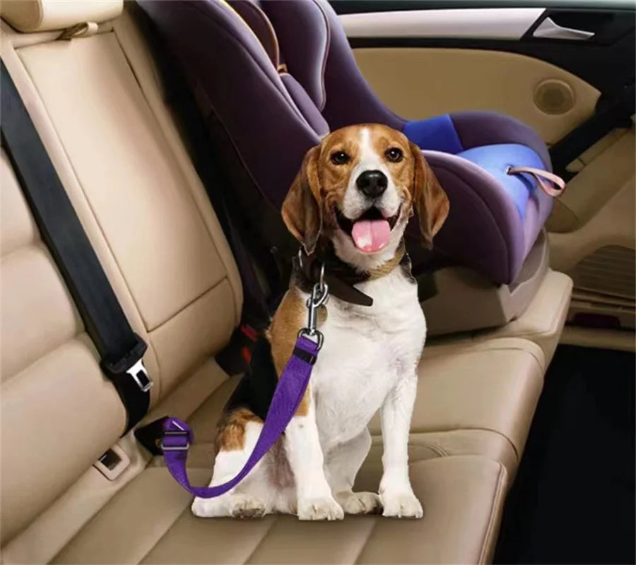 Dog & Cat Car Seat Belt Suitable for Universal Safety. Buckle And Adjustable