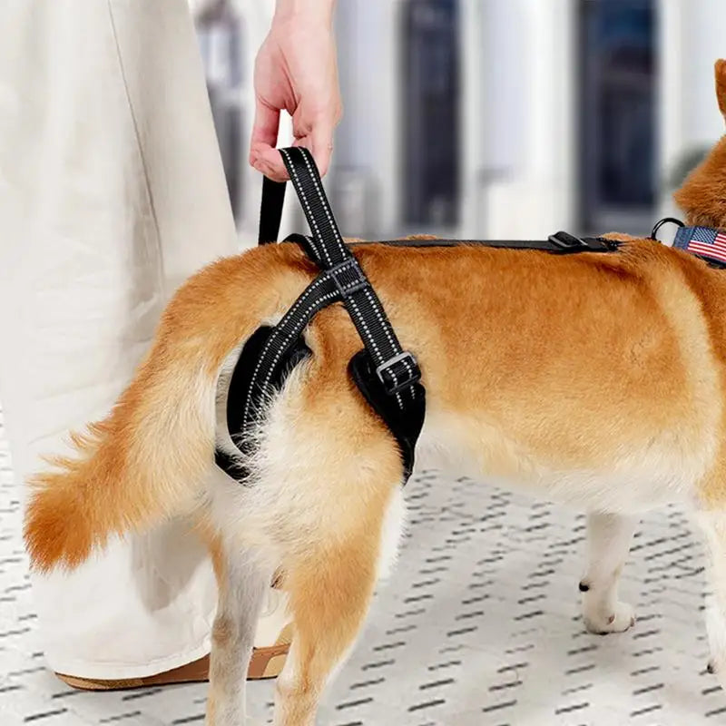 Dog Vest Adjustable Hip Support Harness For Elderly Or Disabled Dogs