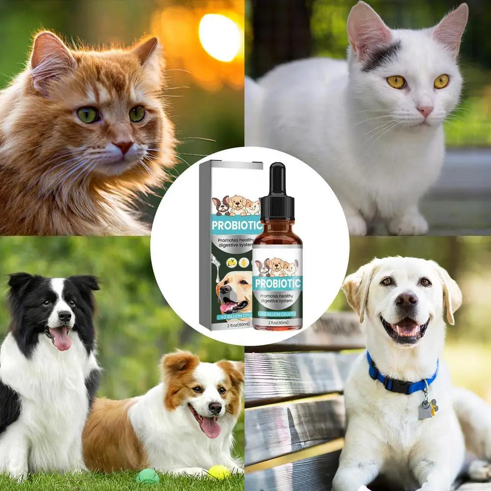 Pet Probiotic Drops 60ml Non-Greasy Mild Digestive Enzyme For Dogs Professional Cat Probiotics Digestive Health Support Additive