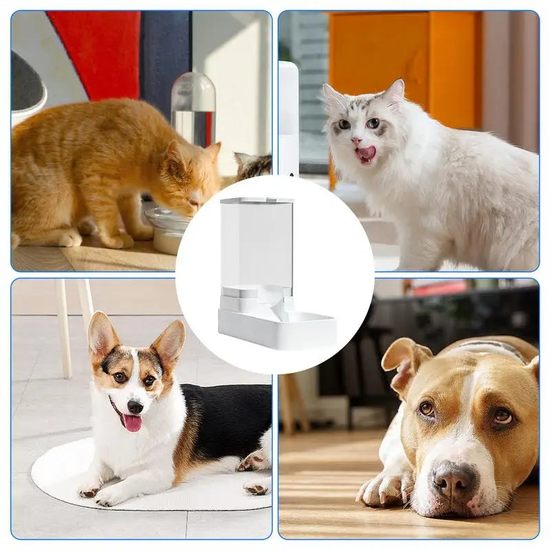 Automatic Cat Feeder Dog Automatic Feeder Transparent Automatic Cat Water Bowl Dog Cat Water Dispenser Pet Accessories