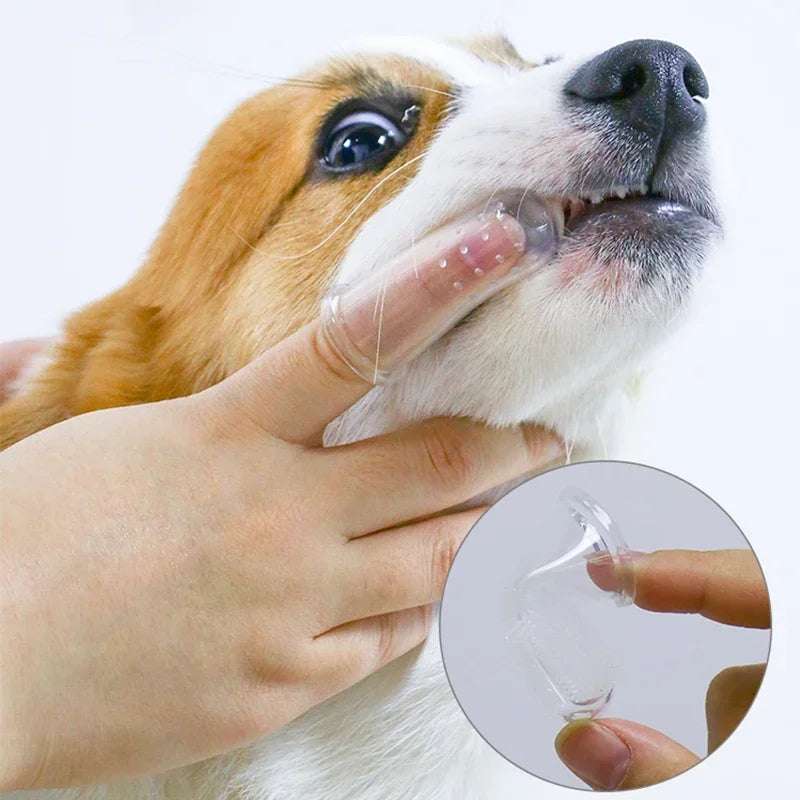 Pets Teeth Cleaning Tools Pet Beauty Toothbrush Clean Kit Tartar Remover Teeth Stones Scraper Dogs Tooth Stains Cleaning Pen