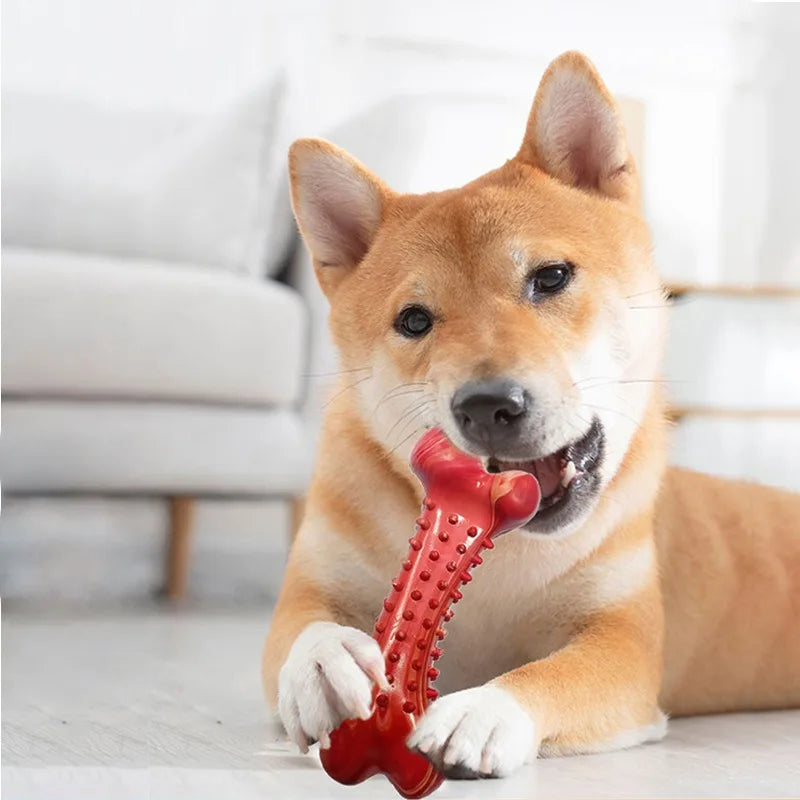 19.6cm Extra Tough Natural Rubber Dog Chew Bone for Aggressive Chewers