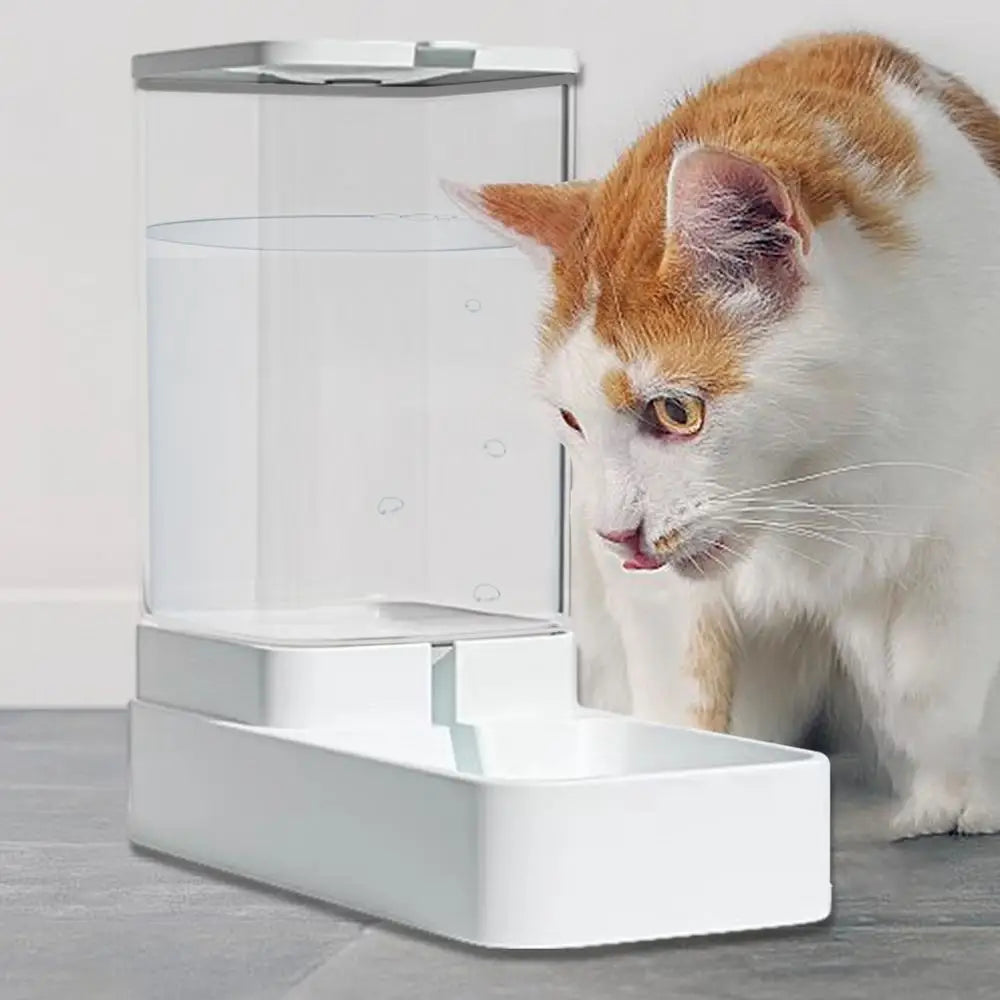 Automatic Cat Feeder Dog Automatic Feeder Transparent Automatic Cat Water Bowl Dog Cat Water Dispenser Pet Accessories