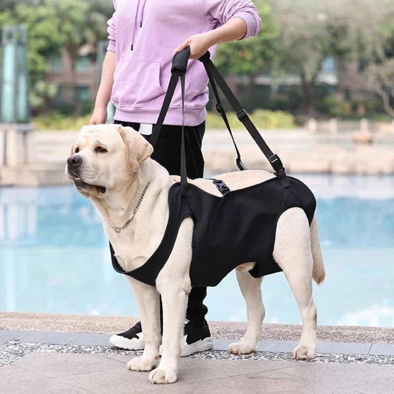 Dog Full Body Support Harness For Large, Elderly, Injured & Disabled Dogs.