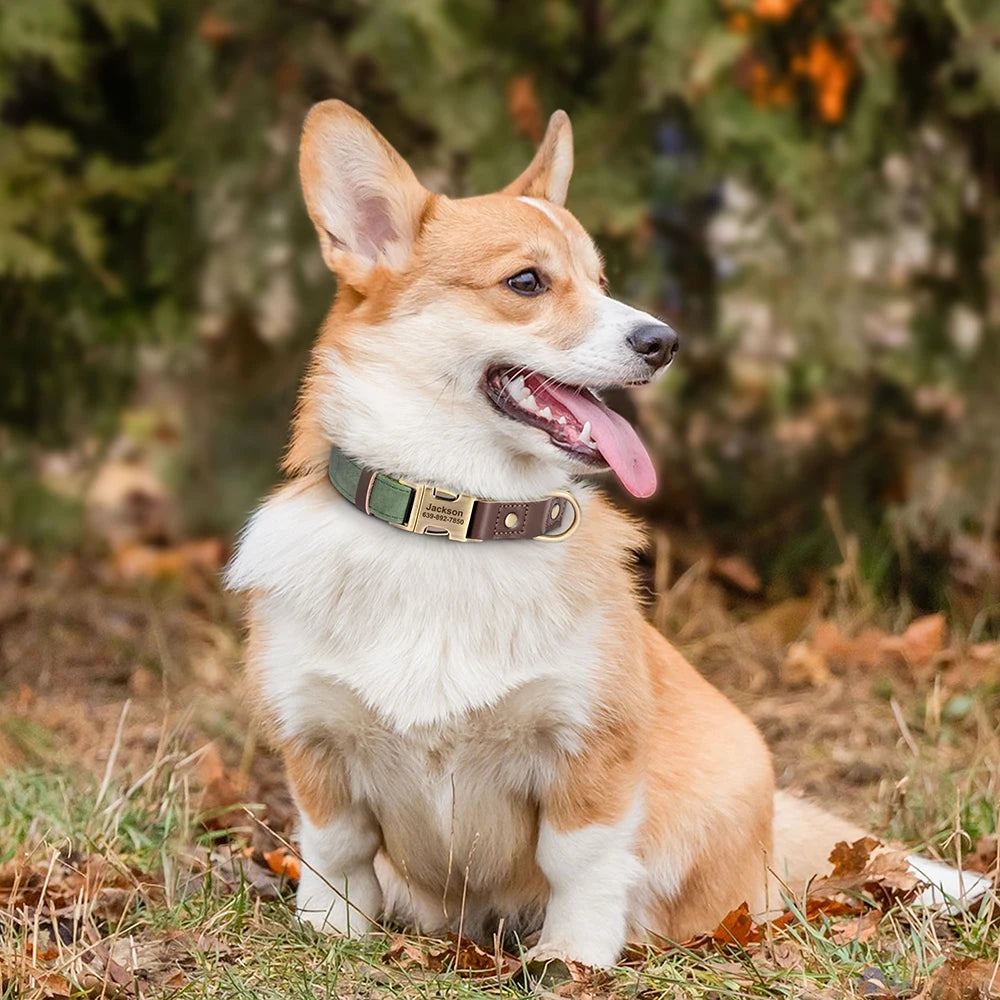 Free Custom PU Leather Dog Collar Engraved Adjustable Pet Buckle ID Necklace. Durable