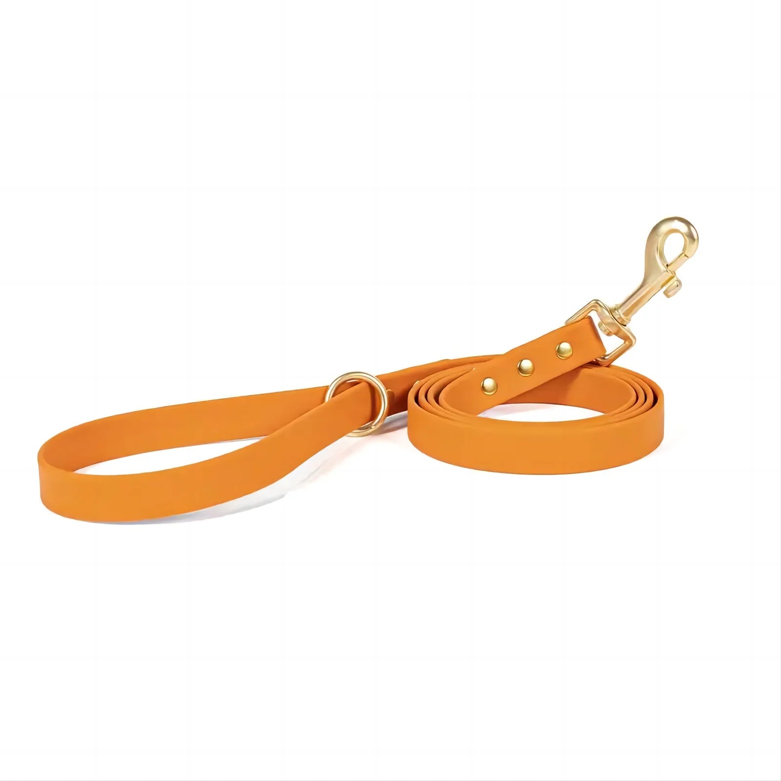 Dog Leash for Control Safety Training.