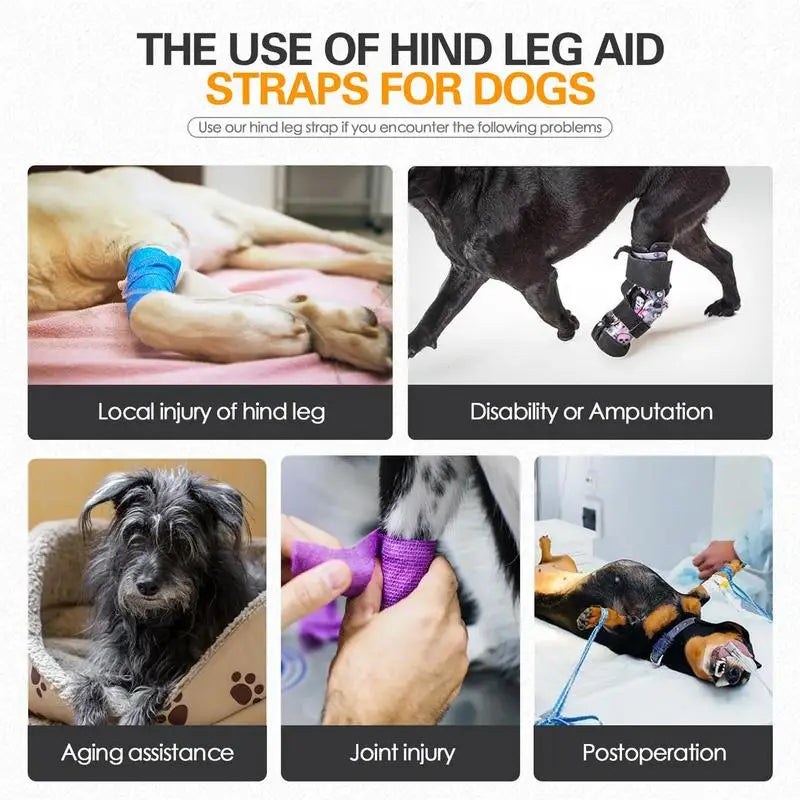 Dog Vest Adjustable Hip Support Harness For Elderly Or Disabled Dogs