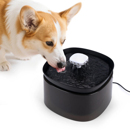 Pet Water Dispenser Low Decibel Cat Dog Automatic Water Dispenser with NozzleElectric Recirculate Filtring Drinker Pet Supplies