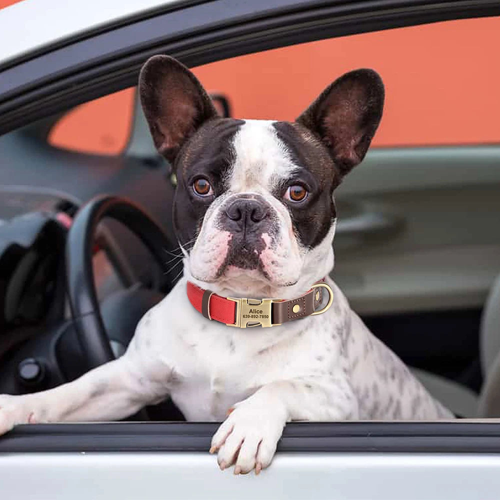 Free Custom PU Leather Dog Collar Engraved Adjustable Pet Buckle ID Necklace. Durable