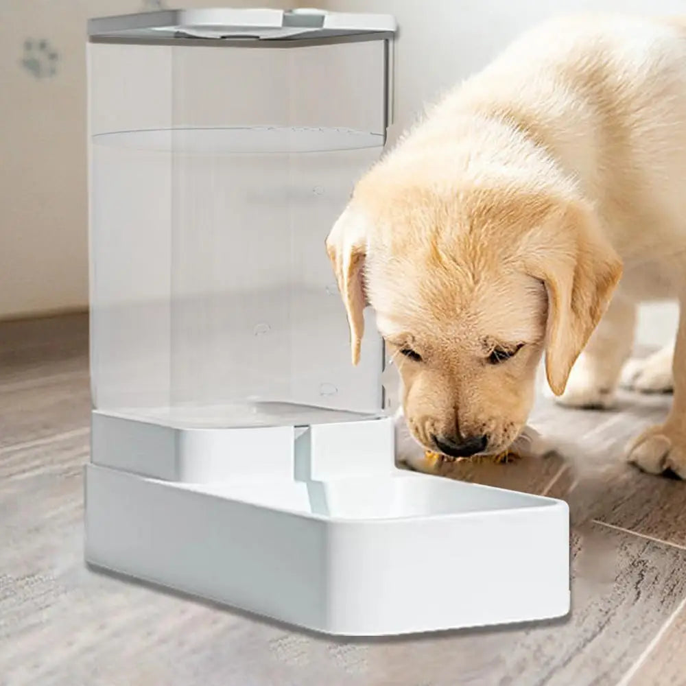Automatic Cat Feeder Dog Automatic Feeder Transparent Automatic Cat Water Bowl Dog Cat Water Dispenser Pet Accessories