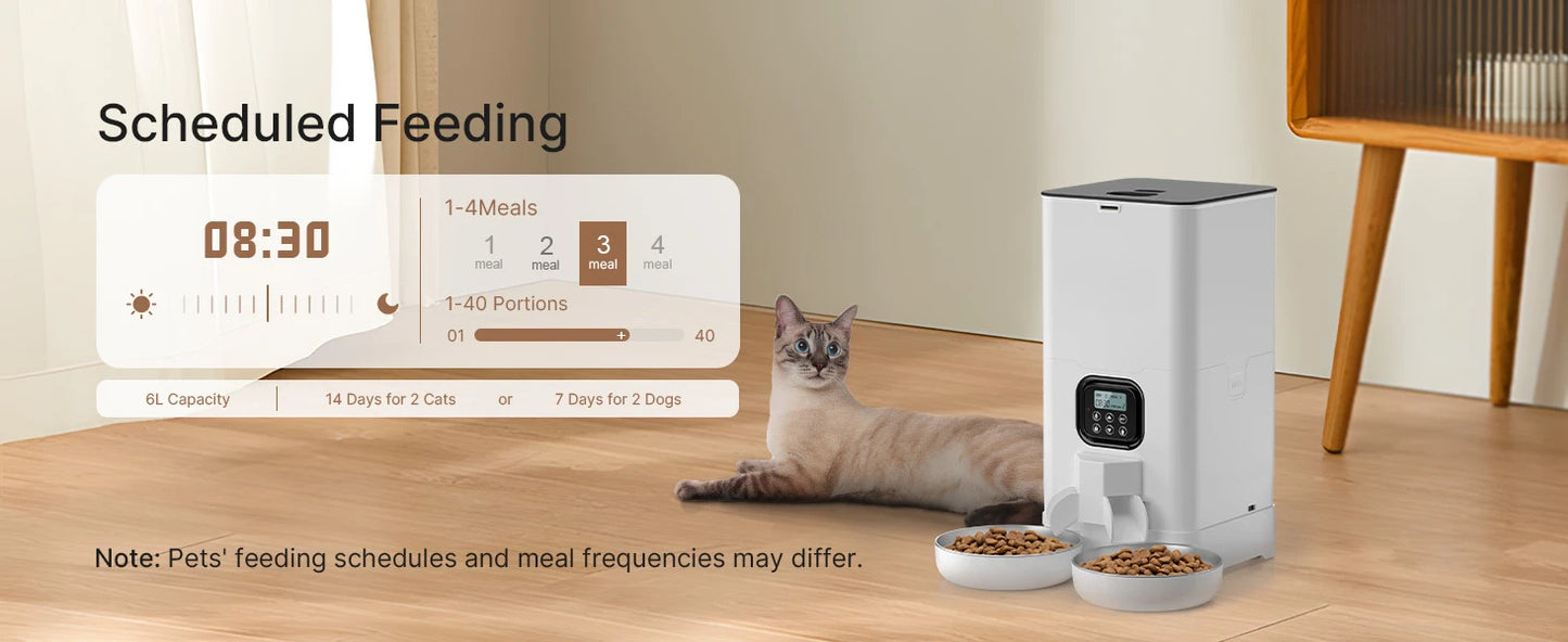 6L Automatic Cat Feeder for Two Cats, Double Pet Feeder with 2 Stainless Steel Bowls, Timed Cat Feeders with Memory Function