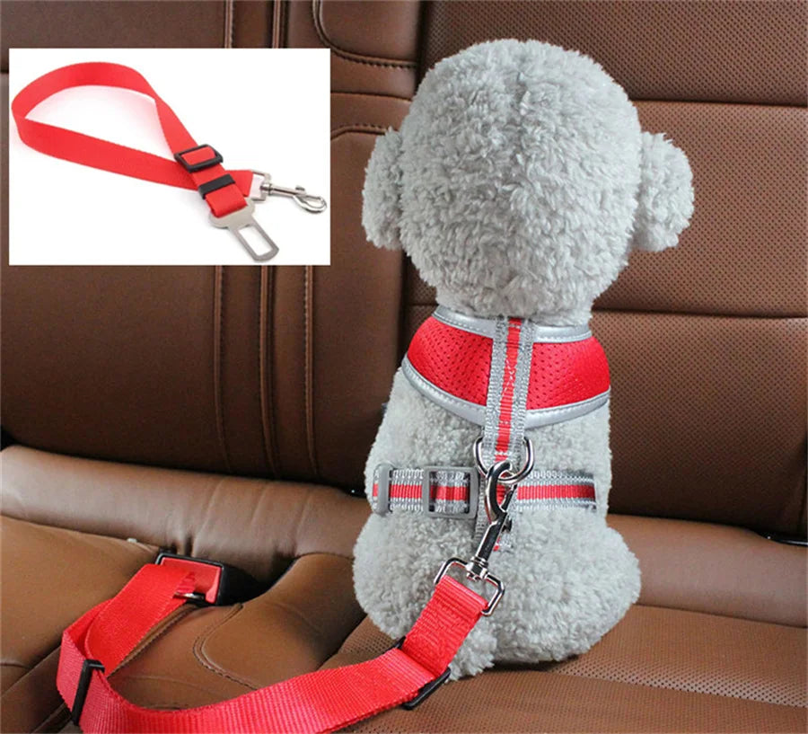Dog & Cat Car Seat Belt Suitable for Universal Safety. Buckle And Adjustable