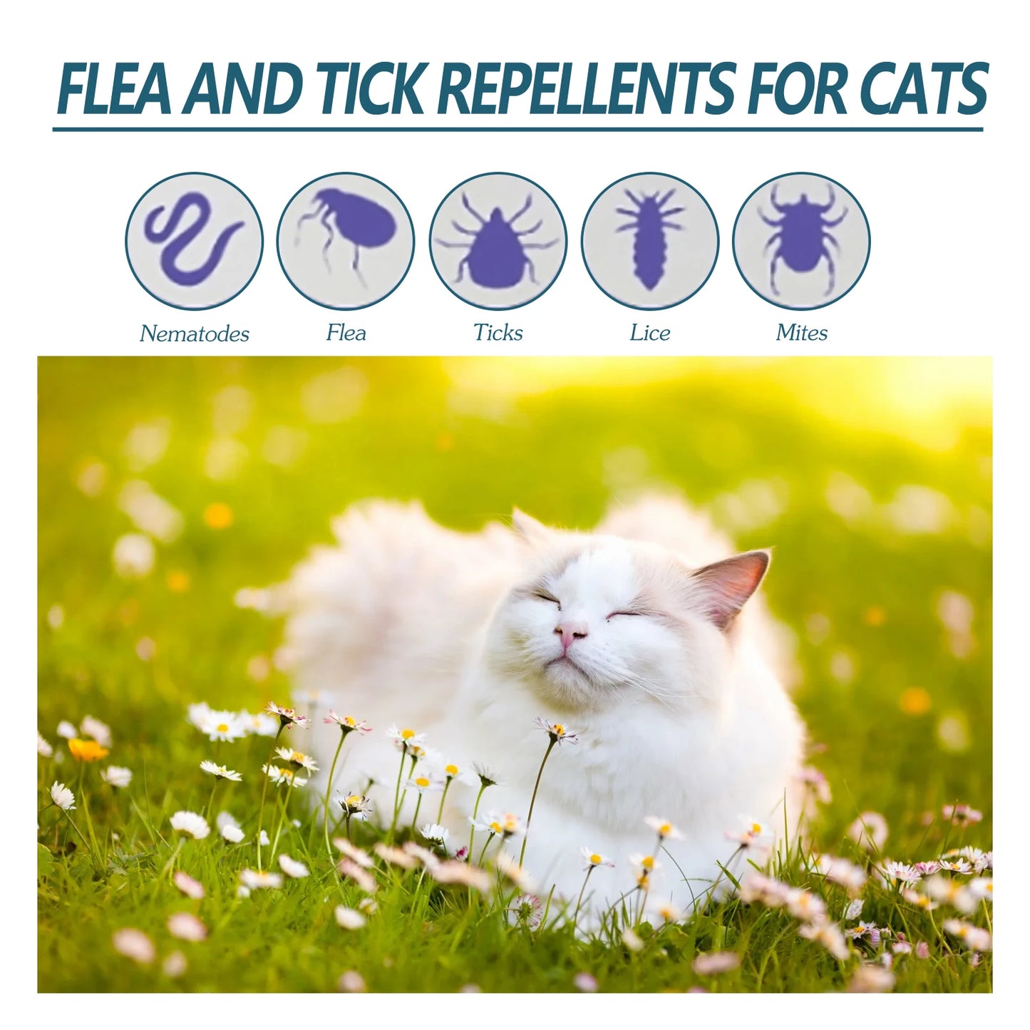 YEGBONG 50ml Flea Tick Control Liquid for Dogs Cats Fast Acting Waterproof Prevention with Gentle Plant Extracts Odorless Formul