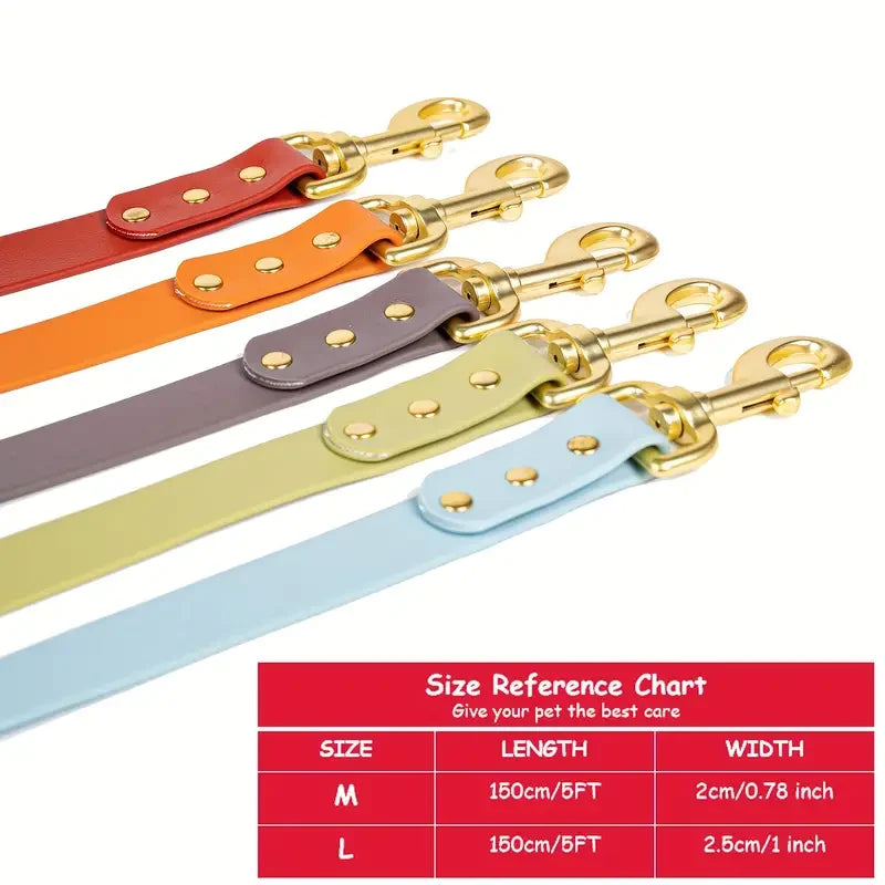 Dog Leash for Control Safety Training.