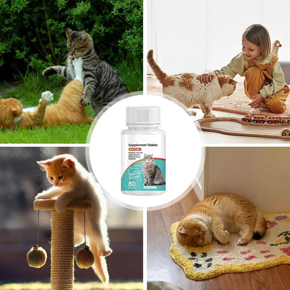Pet Probiotic For Cats Digestive Health Supplement Probiotic Tablets Kitten Probiotic Supplement Tablets Cat Digestive Support