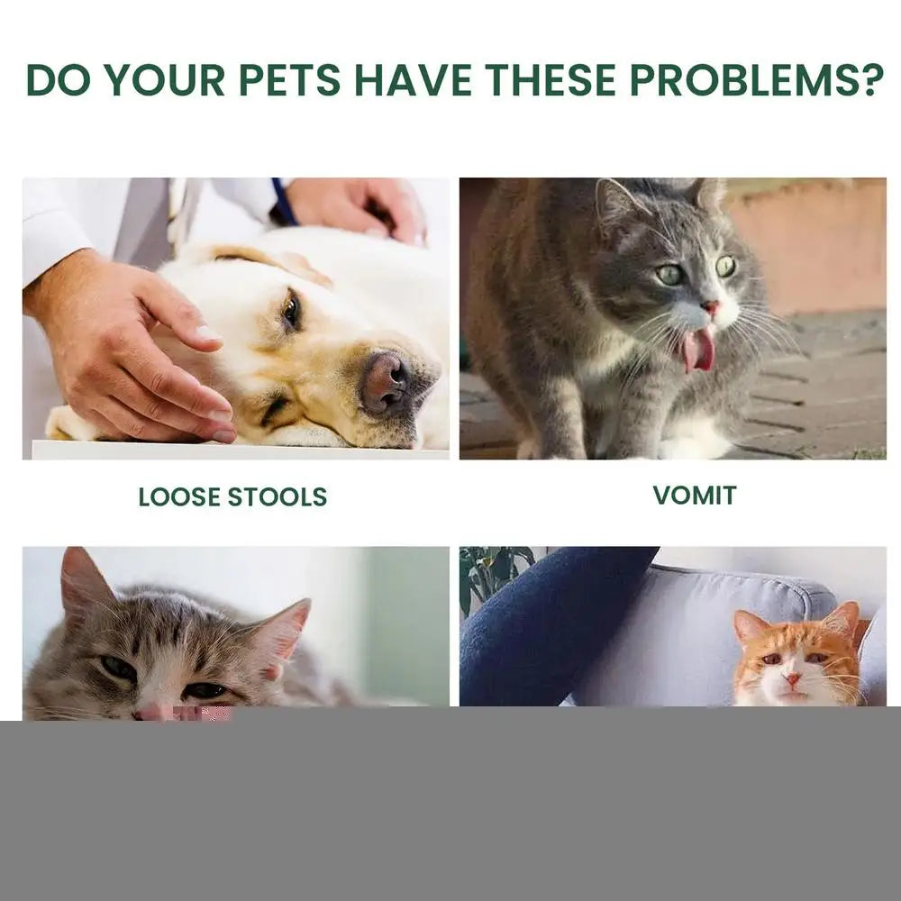 Pet Probiotic Drops 60ml Non-Greasy Mild Digestive Enzyme For Dogs Professional Cat Probiotics Digestive Health Support Additive
