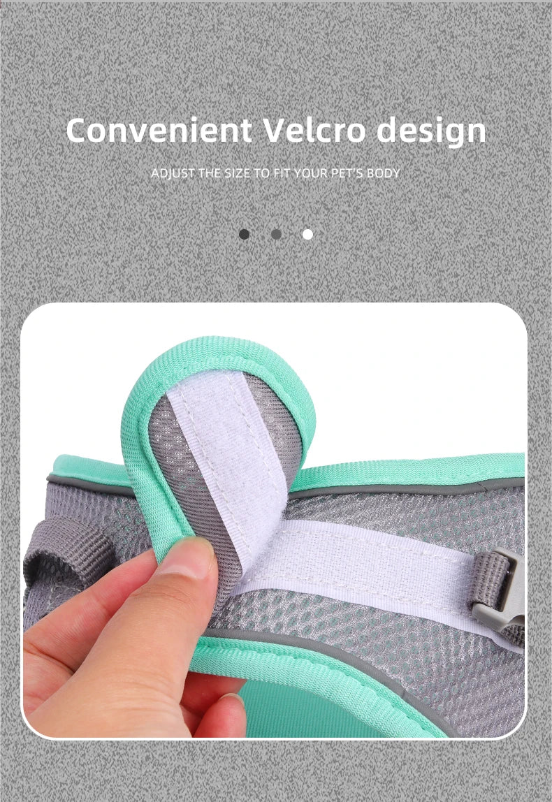 Dog Harness for Small Dogs Adjustable Puppy Cat Harness Vest French Bulldog Chihuahua Pug Pet Outdoor Walking Collar Leash Set