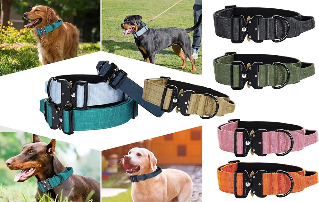 Heavy Duty Tactical Dog Collar – Adjustable Nylon with Metal Buckle, Durable & Comfortable.