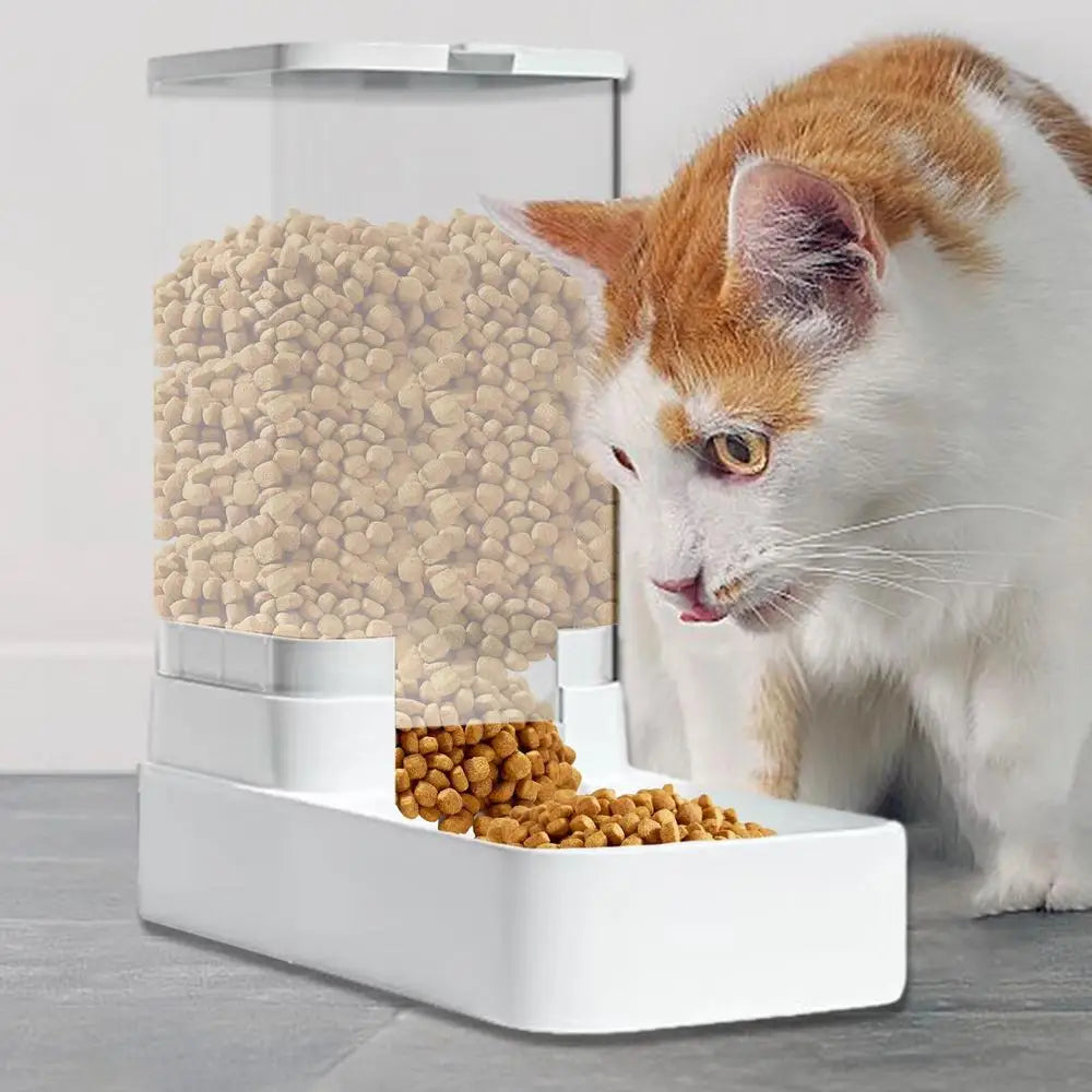 Automatic Cat Feeder Dog Automatic Feeder Transparent Automatic Cat Water Bowl Dog Cat Water Dispenser Pet Accessories