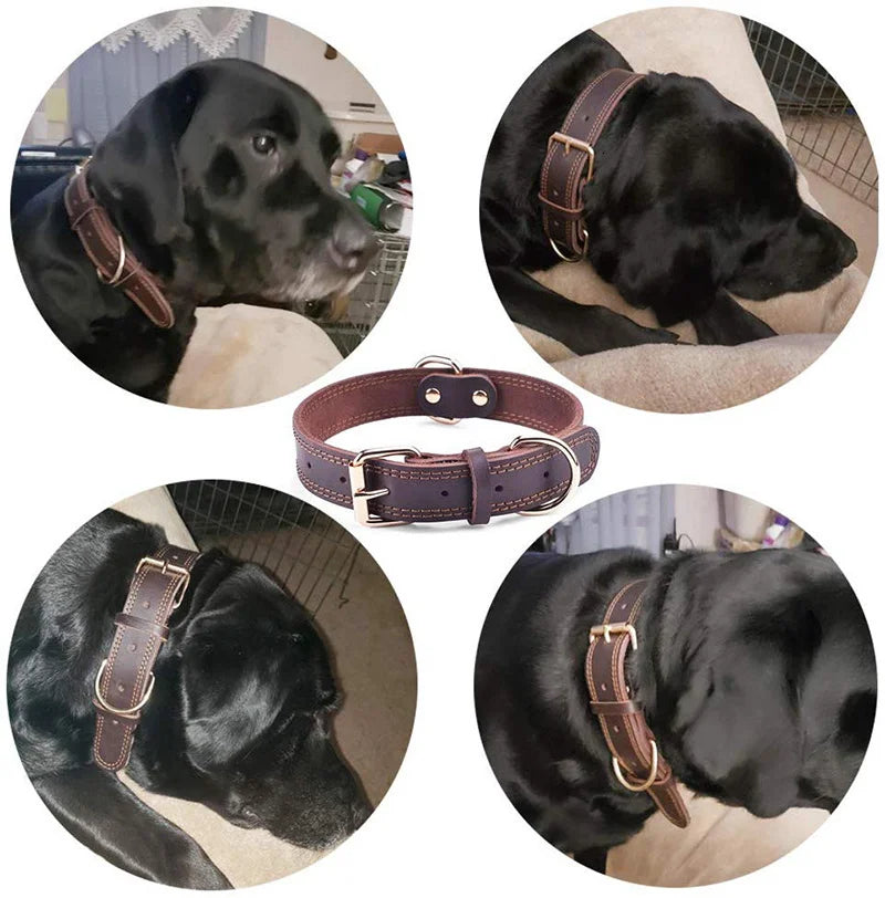 Durable Heavy-duty Rustproof Double D-Ring Pet Collar For Medium And Large Dogs
