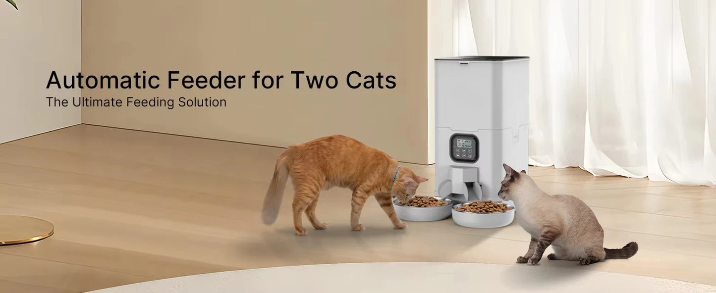 6L Automatic Cat Feeder for Two Cats, Double Pet Feeder with 2 Stainless Steel Bowls, Timed Cat Feeders with Memory Function