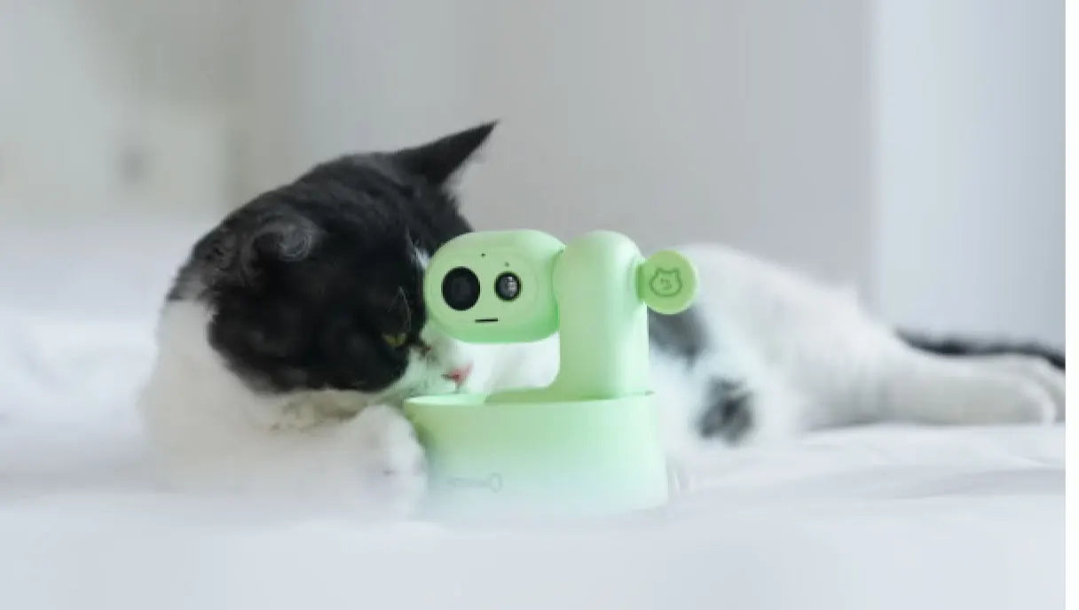 Pet Wifi Camera Night Vision Cat Dog Camera Ai Video Surveillance 350° APP Control Automatic Vlog Smart Home Indoor Dog Cats Cam