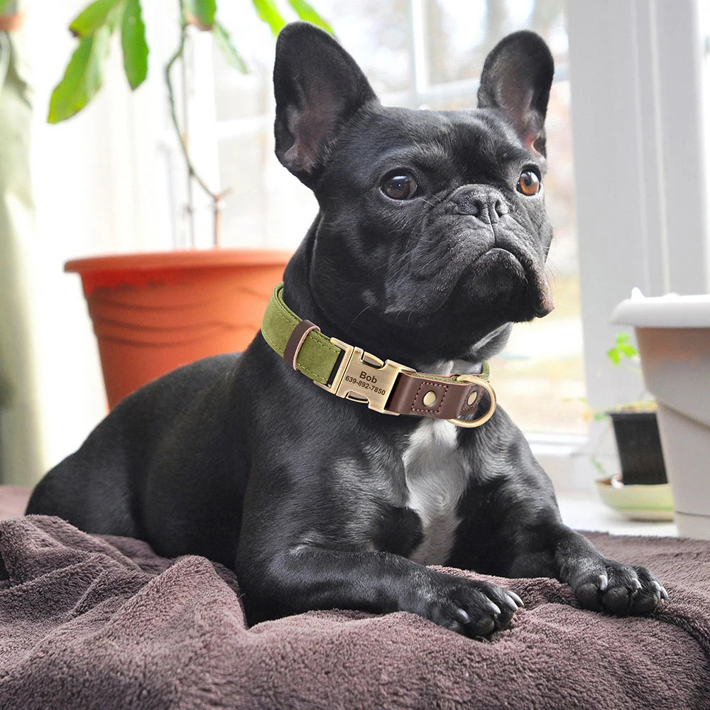Free Custom PU Leather Dog Collar Engraved Adjustable Pet Buckle ID Necklace. Durable